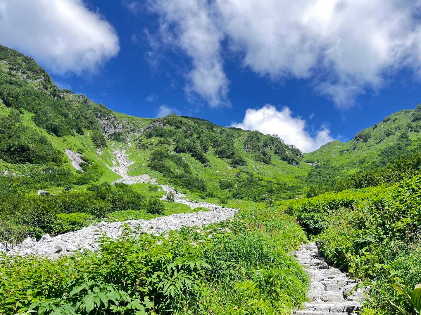 抜戸岳-秩父平-大ノマ岳-大ノマ乗越-弓折岳-弓折乗越-小 縦走コースの写真