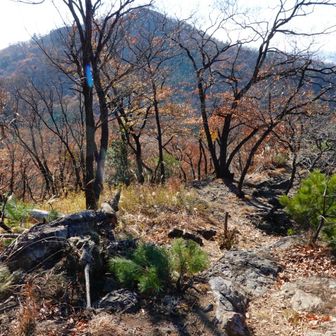 こんな道が暫く続き里まで降りる