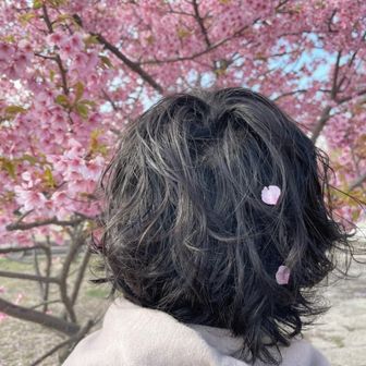 またたび