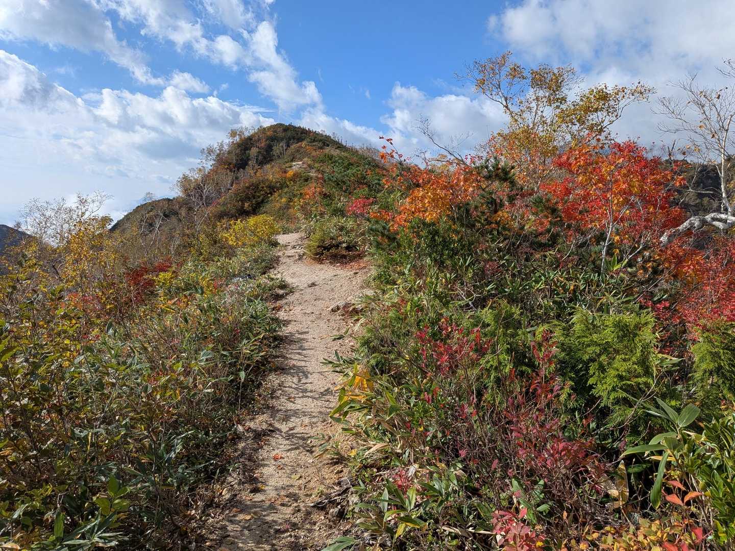 あれが小遠見山らしい！