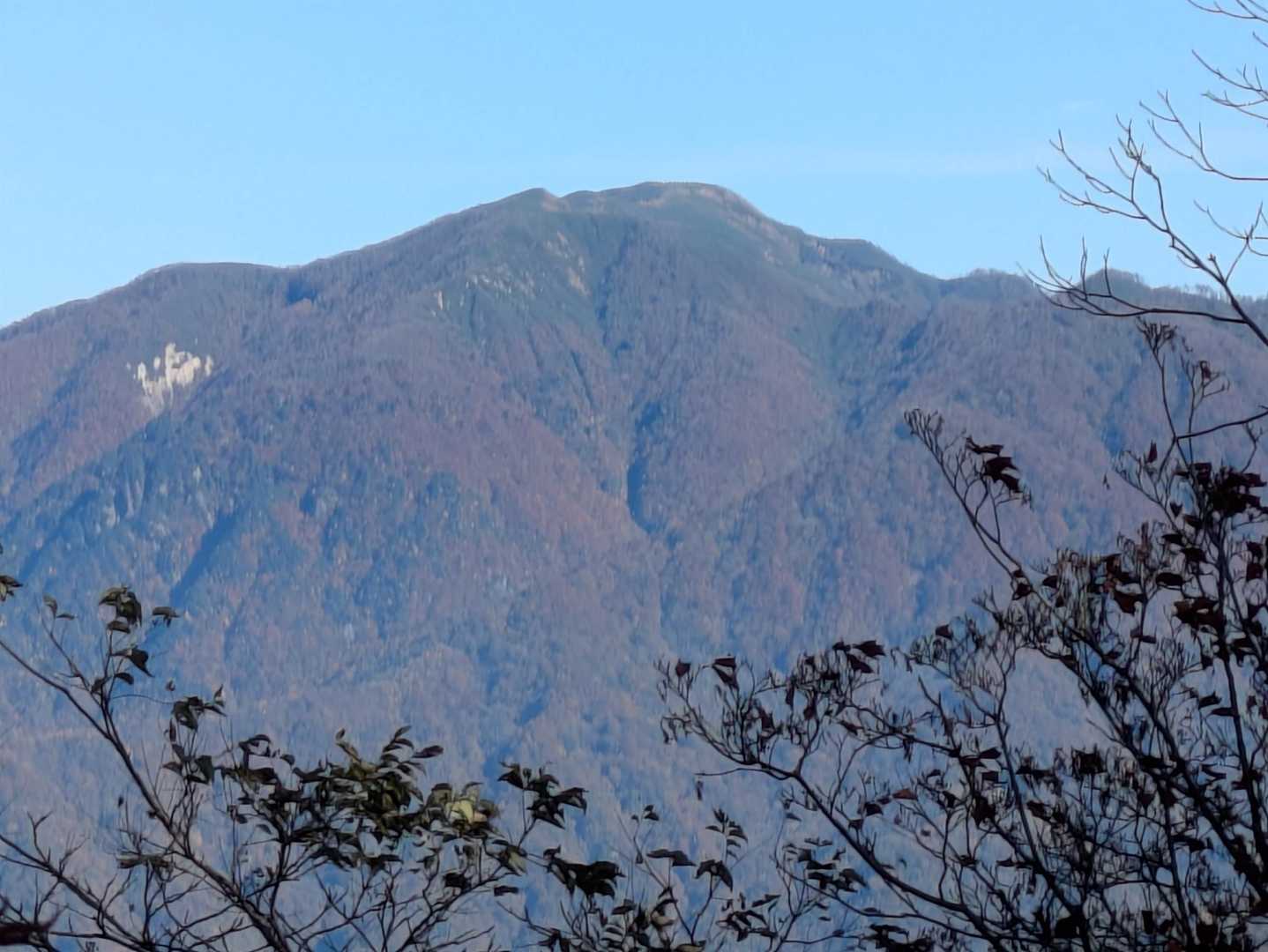 樹間越しに見えるのが一昨日行った能郷白山　今日はきっとにぎわっているだろう、冬仕舞したのは早かった　しかし温見峠へ根尾側から行けない以上、そのタイミングが難しい　