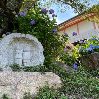 ここも去年はもっと咲いてたけど、来週が見頃かな？

おつかれ山でした🤗