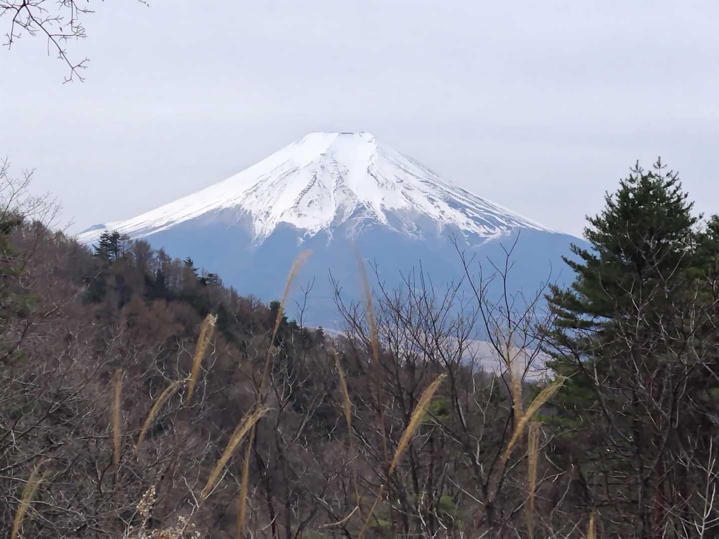 展望台から…
本日の登山では見納め富士山