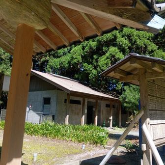 有り難きトイレの神様🙏
竜爪にはあり😊