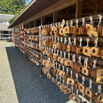 願い事叶います様に