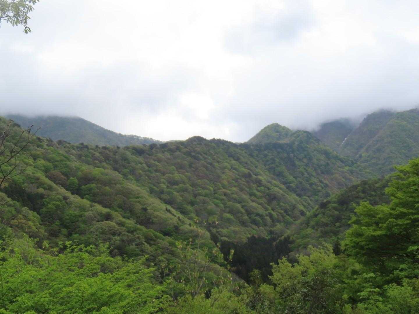 大内峠-熊の平-火燈山 往復コースの写真