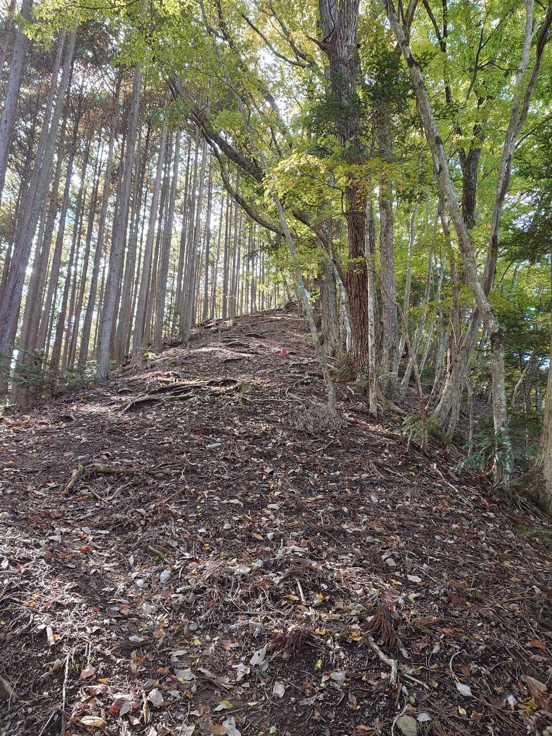 ヤッマ🏕️「まだまだ登りやで〜^^」