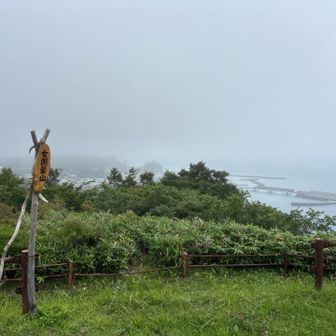 草無く上りやすい