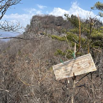 五輪ピックと山急