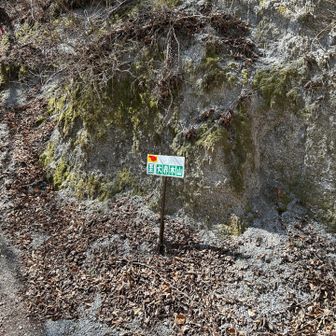浦安峠から10mくらい道志の湯方向ヘ下ったところにある大界木山登山口