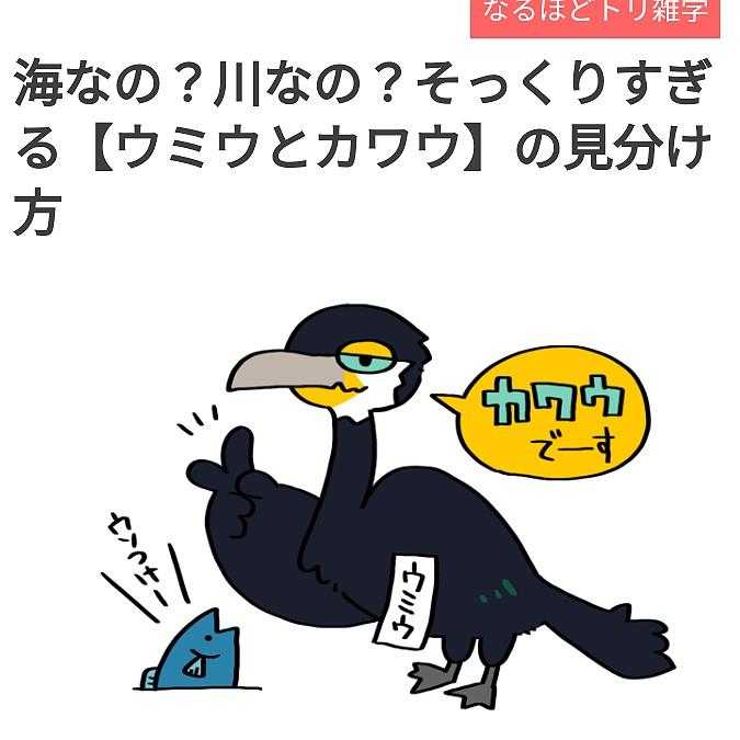 海鵜と川鵜の見分け方 🎶磯の鵜 / 山オタクさんのモーメント