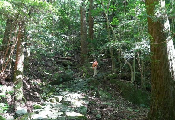 多良山 佐賀県と長崎県境の自然、多良山系