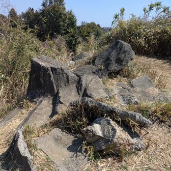 小高い丘という感じ