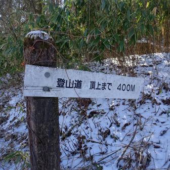 標高: 1415mですよ〜