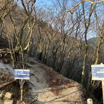 そこそこ急坂を登り切ると水沢峠(すいざわとうげ)