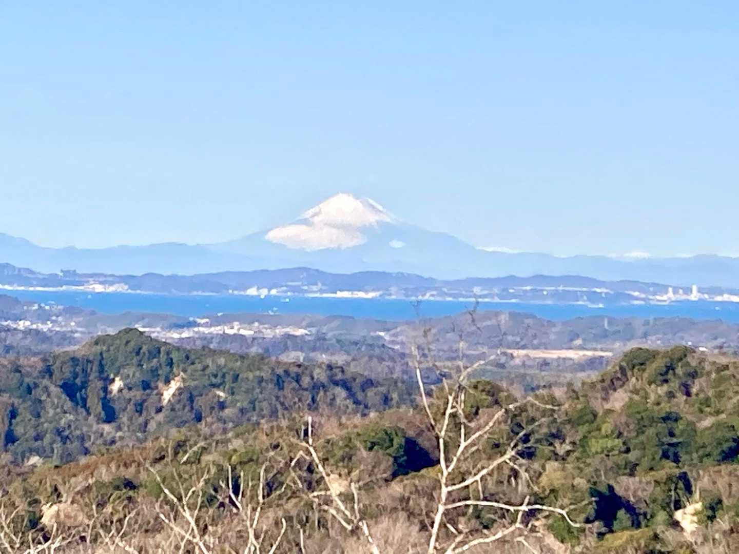 どーですか〜！ひつこい日本一🇯🇵