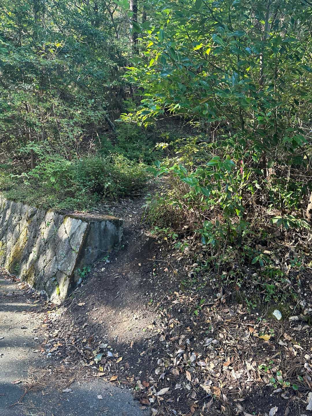 ここ、城山への登り口