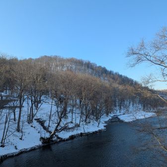 嵐山2025年有り難うございました。来年も宜しくお願い致します🙇