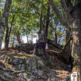 捨身ヶ嶽の向かい側を登ると、山さきもりの展望所です