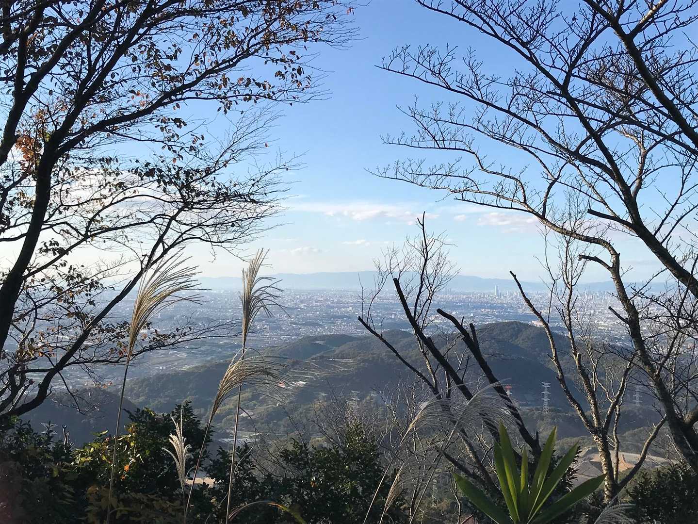 ダイヤモンドトレール起点-穴虫峠-ダイトレ北入口-二上山 往復コースの写真