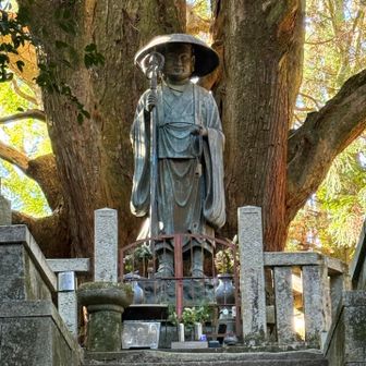 一本杉に到着、杉の大木にパワーを感じる