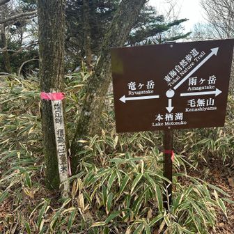 ここまで遠かったな・・