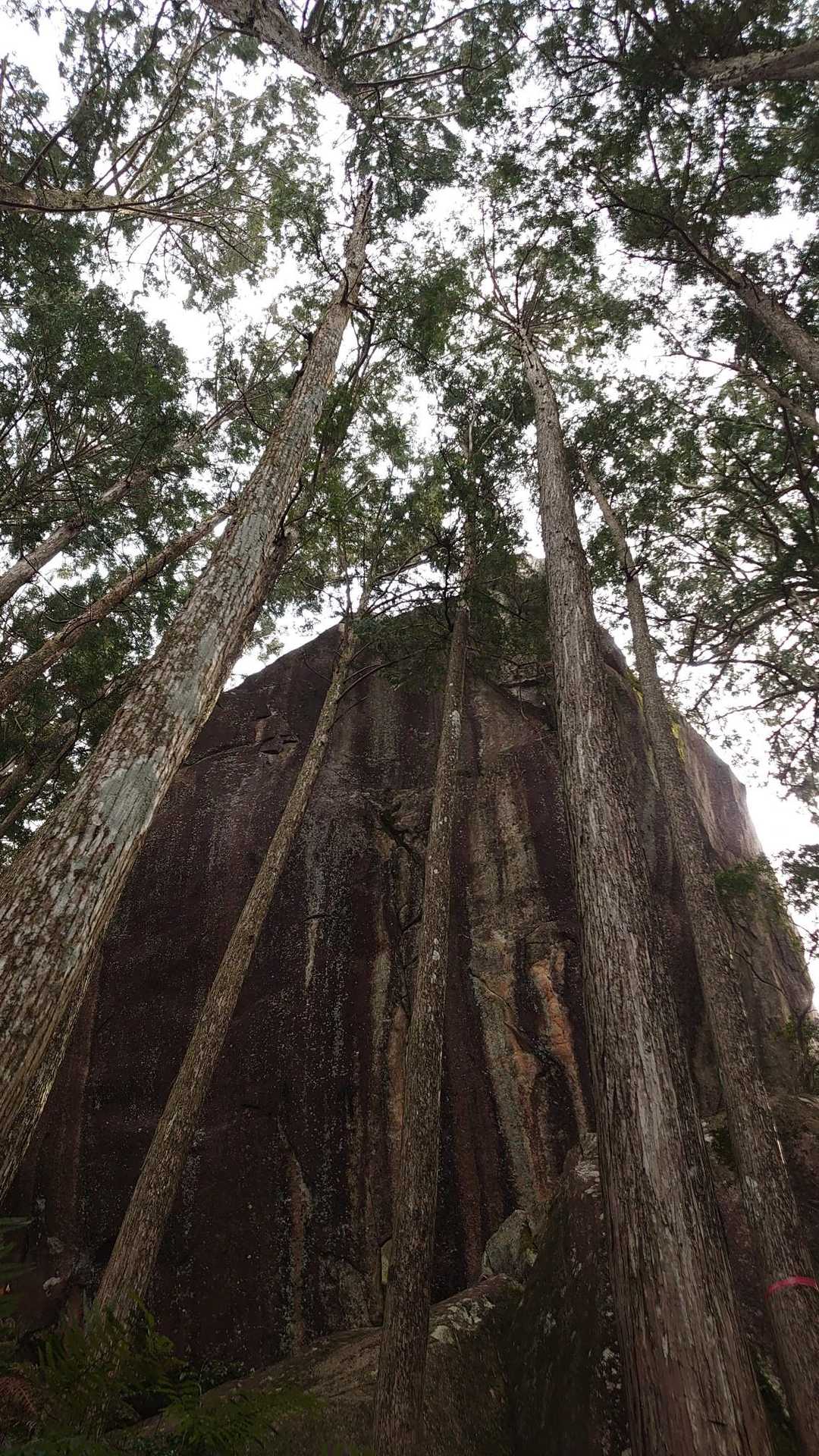 サクッとコースで楽しみます😁👍