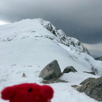 空木岳を見るチーバ