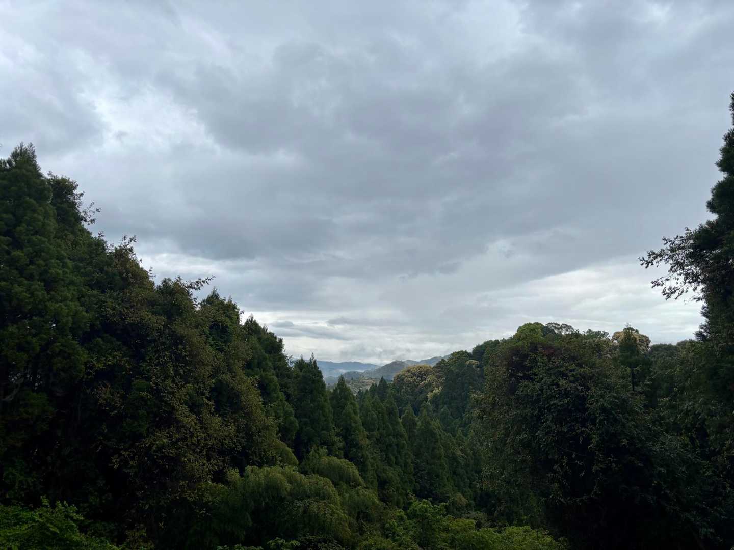 少しだけ景色✨
