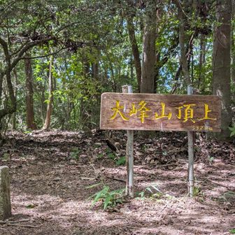 大峰山山頂。

お供えして、何で呼んだのぉ？
武田尾駅迄行けば分かるって？