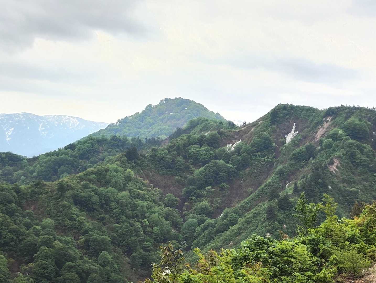 正面、三角おむすびの形をしたあの山に登ります