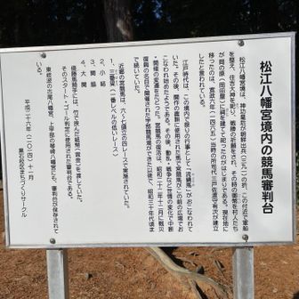 宮競馬の説明🐎