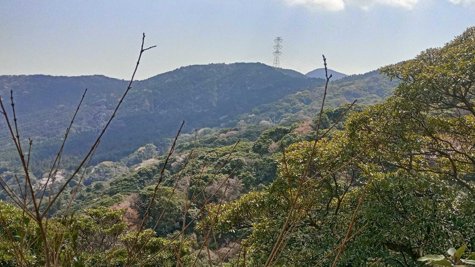 貫山が頭だけ出してる