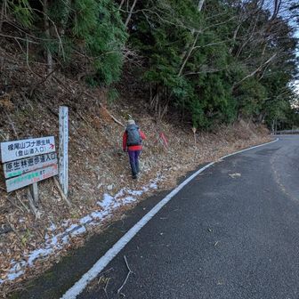 登山口は車の停車場所から少し下ります。
栃尾峠まで急登、中途半端に雪があり歩き辛い。