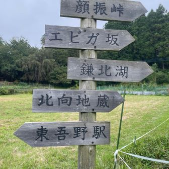 雨が降ってきたので北向き地蔵へ戻るのはやめて東吾野へ下山するこことに