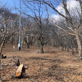 伝わらないけどかなり広々。