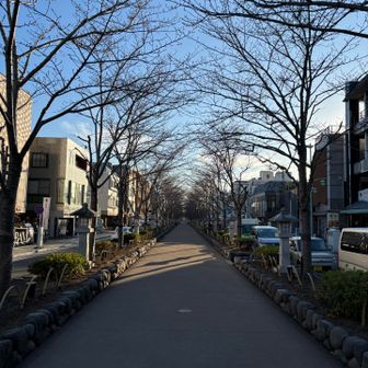鶴岡八幡宮の参道
こんなに観光客がいないもん？ 
桜の季節はすごそうだけど