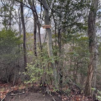 ■新サンドイッチ山