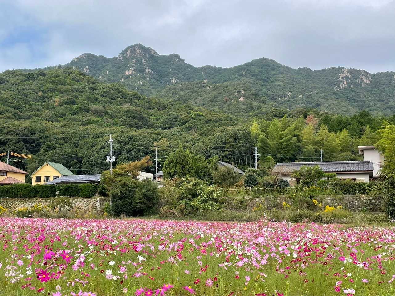 今日も無事に下山出来ました✨
🙏