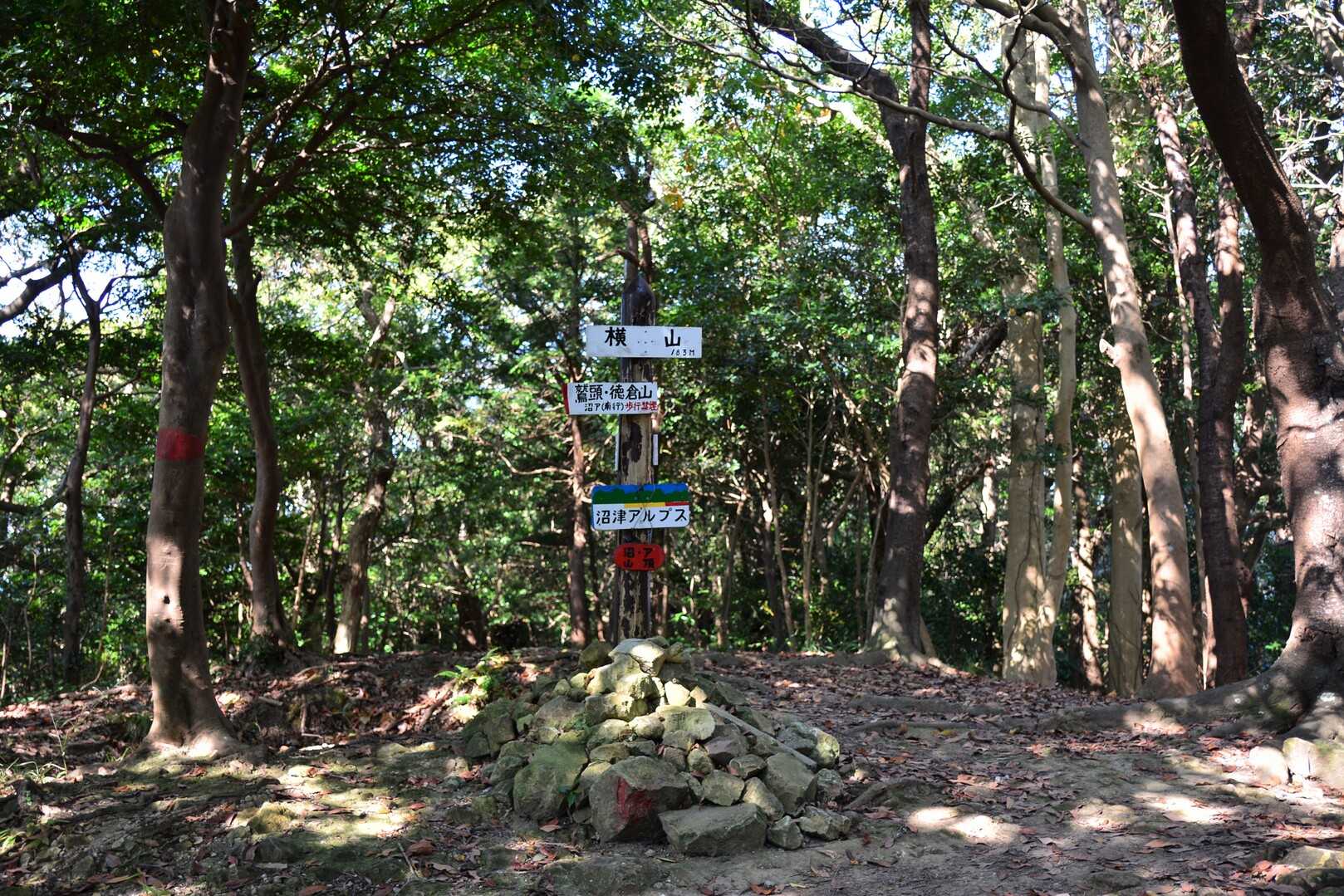 横山の写真