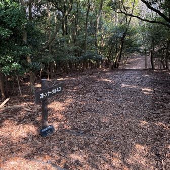 ストーンサークルへ🪨