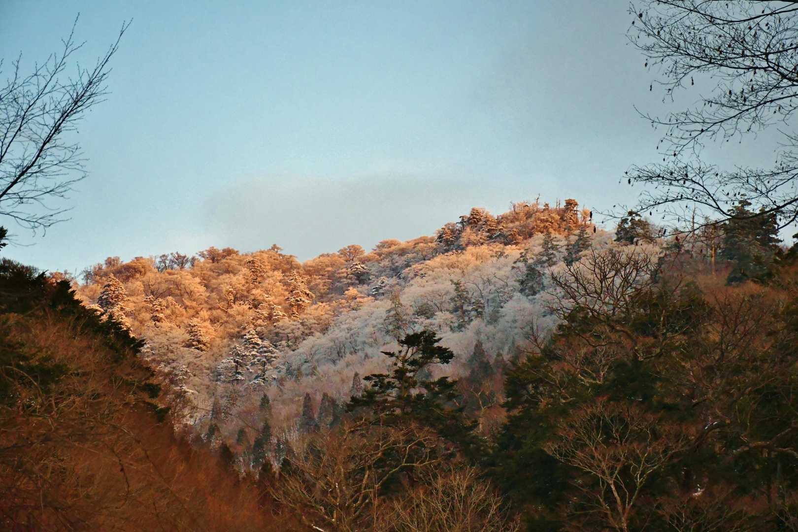 朝陽の黒岳尾根にも雪化粧を観て期待高まる、