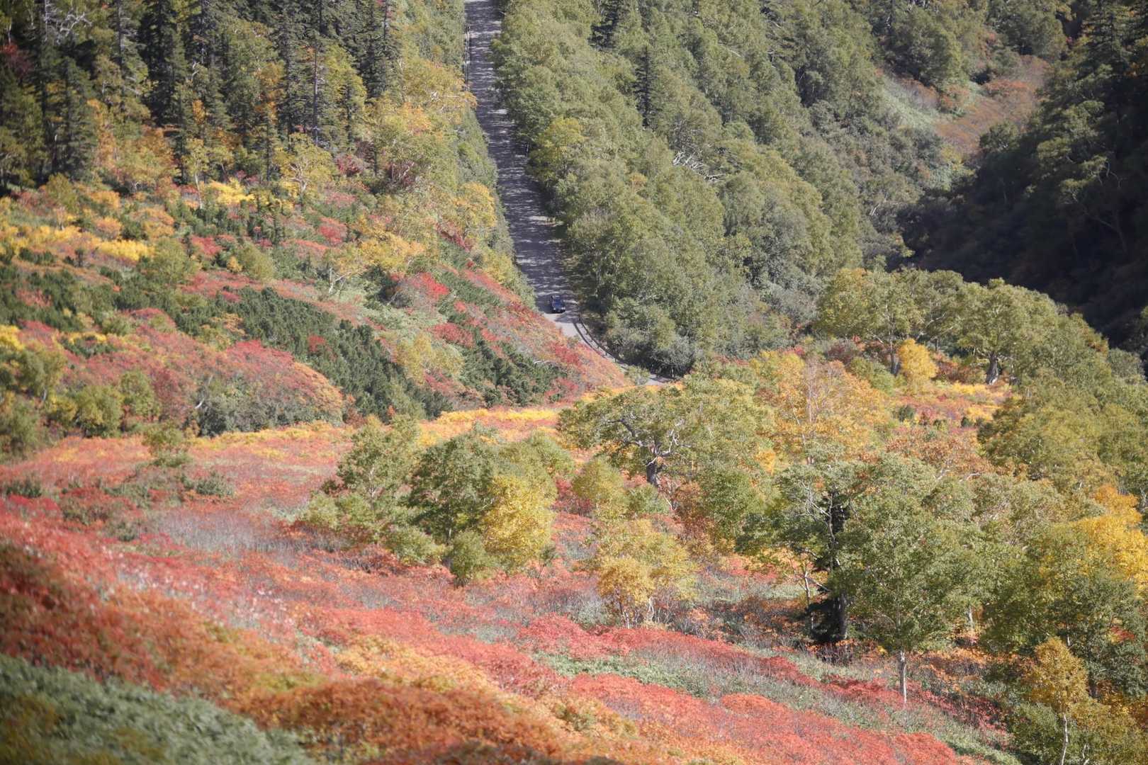 赤岳登山口-第一花園-赤岳 往復コースの写真