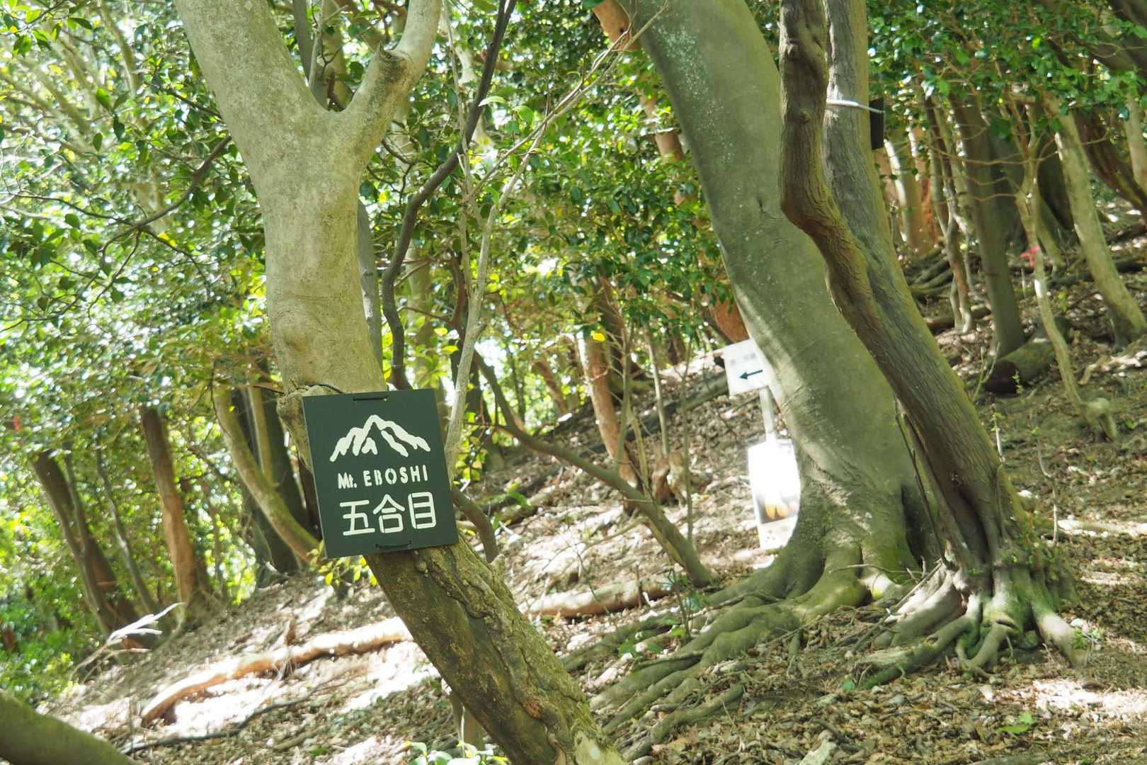 看板がステンシル風でかっこいー
