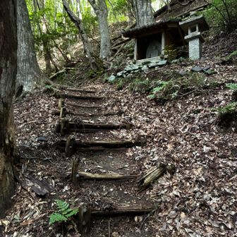 周回コースへ

山頂からの降って登り返し地点
