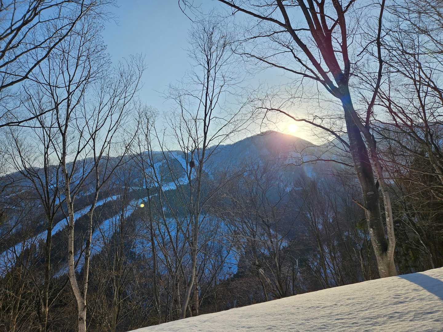 日の出🌄

今日は相当気温が上がりそうな予報なので、なるべく早めの時間帯に行動します↗