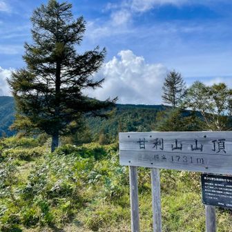 そして甘利山山頂⛰️