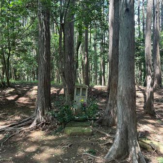 　　　　　　　　　小藪山山頂