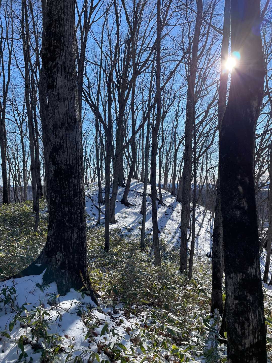 山頂は何も無し