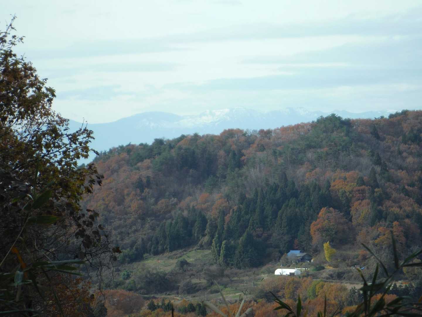 羽山 周回コースの写真